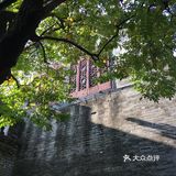 春晖园散心