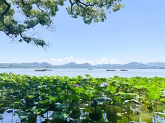 -湖畔居茶楼(湖滨店)