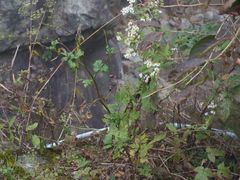 临安大明山景区-大明山自然探索公园