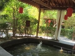 -西安国际创新人才交流中心•药浴温泉