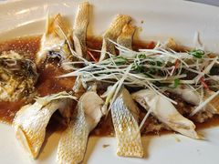 -绿茶餐厅(龙井船宴· 品牌总店)