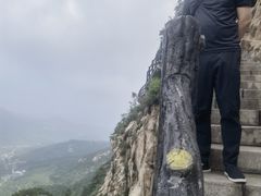 -大芦花风景区