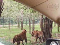 -秦皇岛野生动物园
