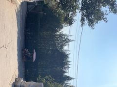 -静之湖度假区