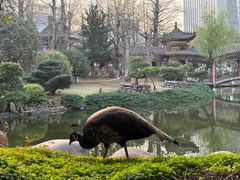 -华雅花园大酒店