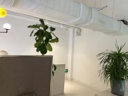 -I+造型烫发染发