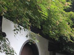 -杭州黄龙洞