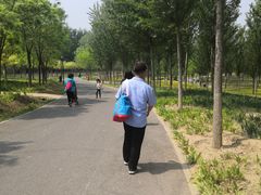 -东郊湿地公园