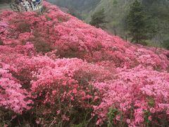 -木兰云雾山