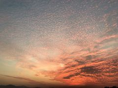 -演武大桥观景平台