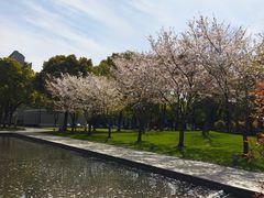 -中共上海市委党校 上海行政学院