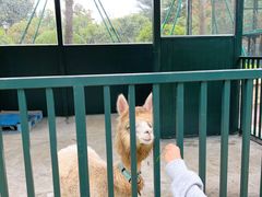 -青岛鑫江温德姆酒店