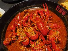 -红盔甲·小龙虾(人民广场店)
