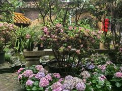 环境-园林美食城·本土农家菜(杨和镇店)