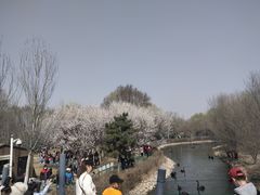 -长白岛森林公园