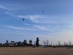 -春花秋色城市公园