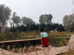 -东郊湿地公园