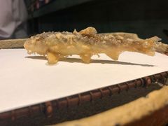 辫子鱼-みかわ是山居