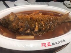 -阿五黄河大鲤鱼(英协路店)