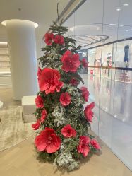 -in BEAUTY法国原液之谜