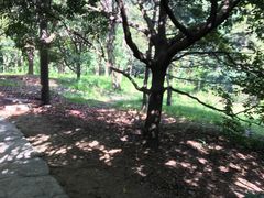 -武当山风景区-太子坡