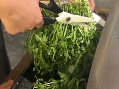豆苗-捞王锅物料理(上海世茂广场店)
