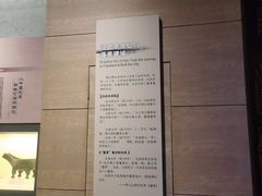 -蓬莱阁景区