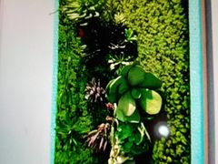 -海珠新都荟城光荟(海珠店)