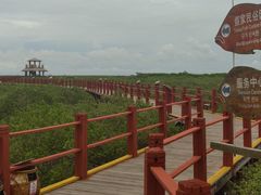 -北海金海湾红树林生态旅游区
