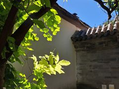 -北京古城老院厉晓麟精致菜