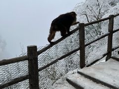 -峨眉山风景名胜区