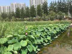 -永定河休闲森林公园