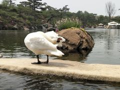 景点-罗红摄影艺术馆