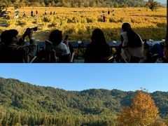 -塔川景区