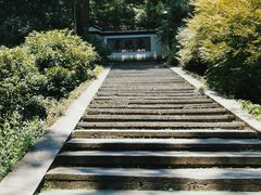 -虎跑公园