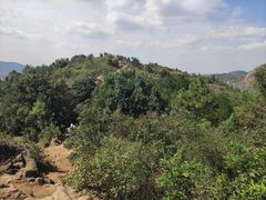 -灵岩山风景区