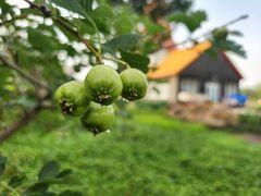 -绿岛公园(滨海新区)