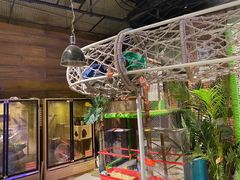-zoonana室内动物园(东方福来德店)