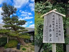 -滨千鸟之汤 海舟