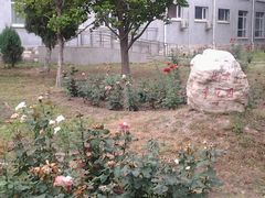 -北京小汤山医院体检中心