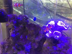 -宠物世家(仲盛世界商城店)