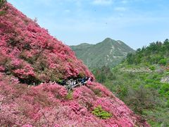 -木兰云雾山