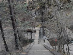 -芦芽山旅游度假区