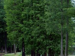 -佛冈森波拉度假区