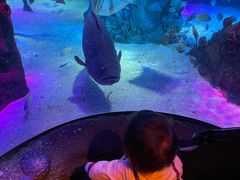 -沈阳海洋探索中心