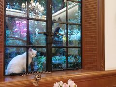 -马勒别墅·中餐厅