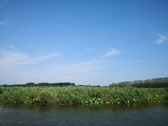 -微山湖红荷湿地景区