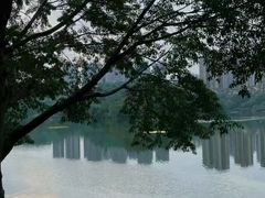 -重庆彩云湖湿地公园