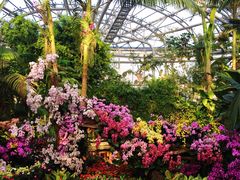 -北京植物园-展览温室