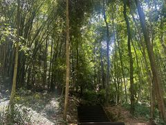 -凤栖山